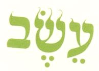 Special Designed Words